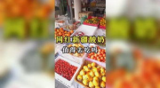娱乐吃瓜图文,吃瓜图鉴，带你领略明星幕后故事