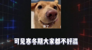 娱乐吃瓜上线,揭秘娱乐圈最新热点，带你领略明星幕后故事