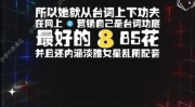 吃瓜娱乐联盟官网下载,官网下载背后的精彩故事